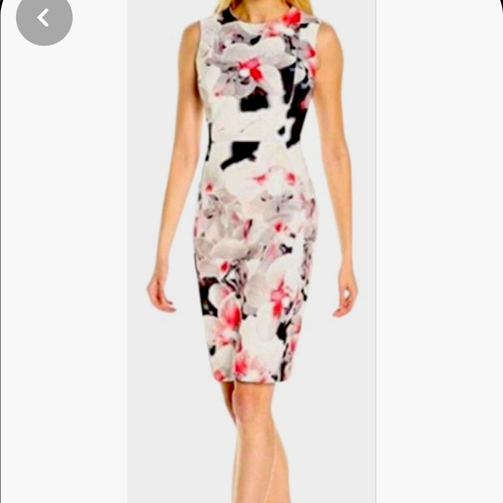 Calvin Klein Floral Scuba Dress, size 6, Floral Colors: white, black and red.